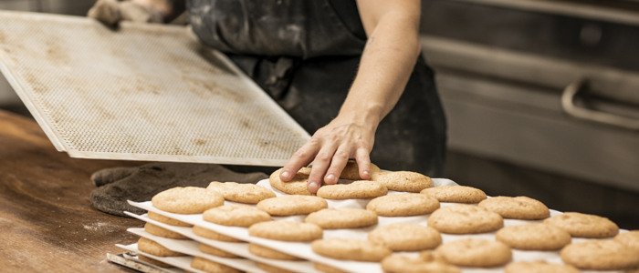 Jobb och företagande